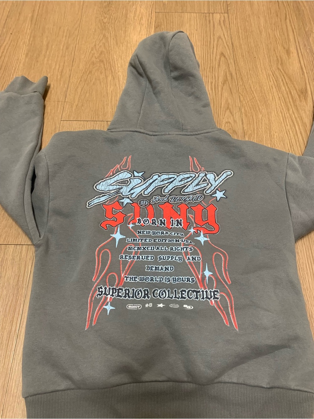 Gray Graphic Hoodie with Red & Light Blue Design